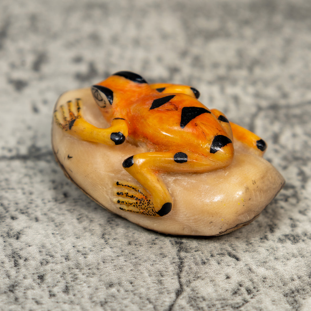 Orange And Black Frog Tagua Carving
