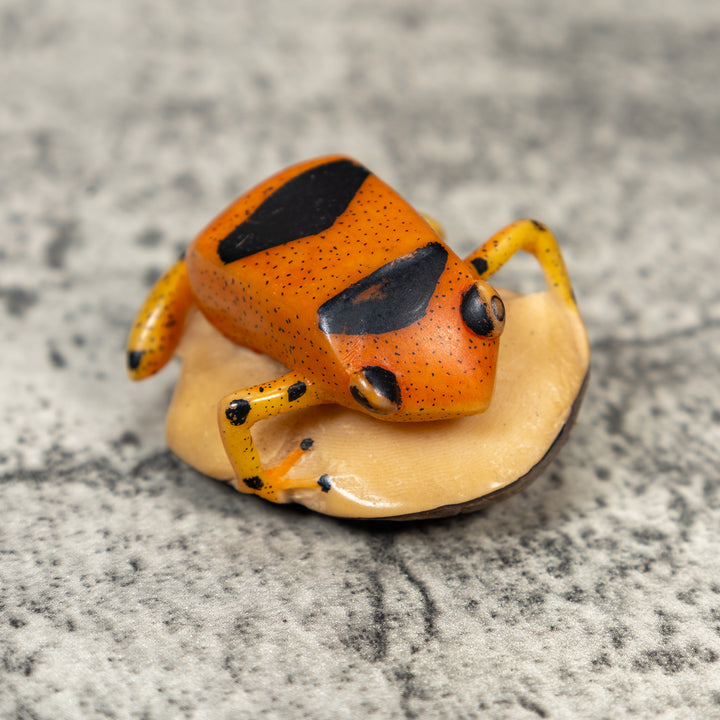 Vintage Poison Dart Frog Tagua Carving