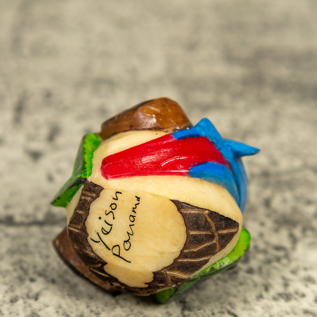 Macaw Parrot Bird Tagua Carving