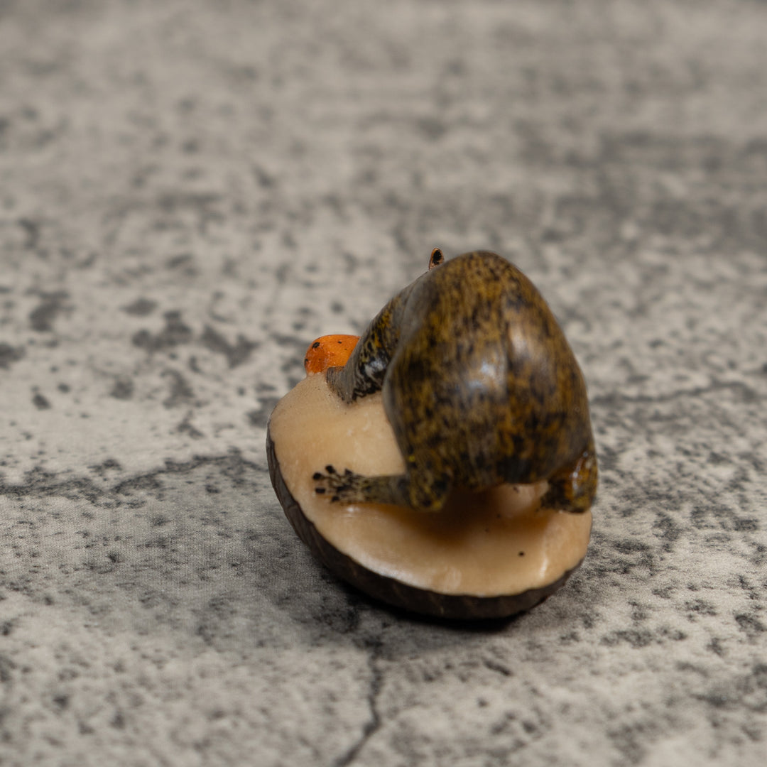Brown Neque Agouti Eating Lunch Tagua Carving