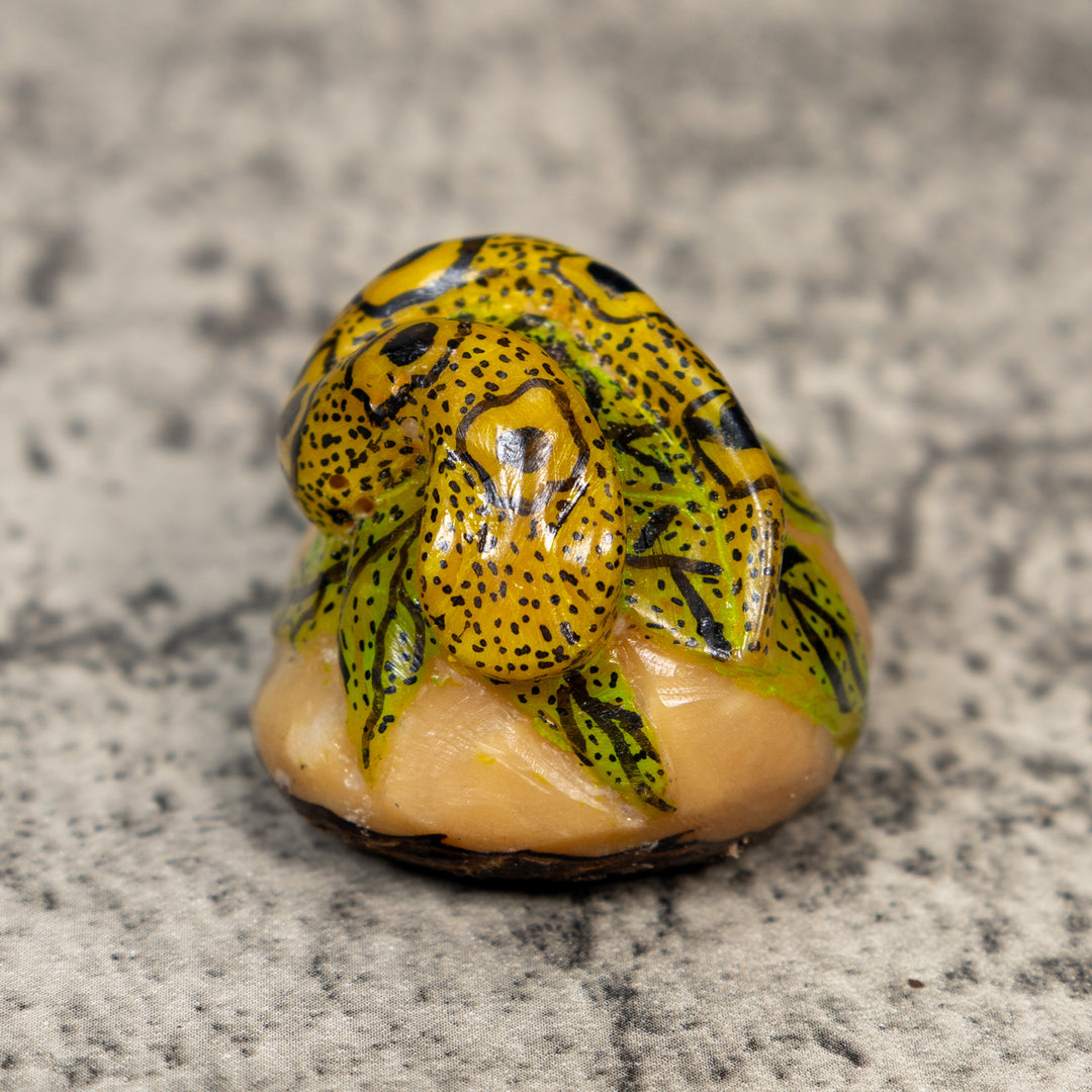 Black And Gold Snake Tagua Carving