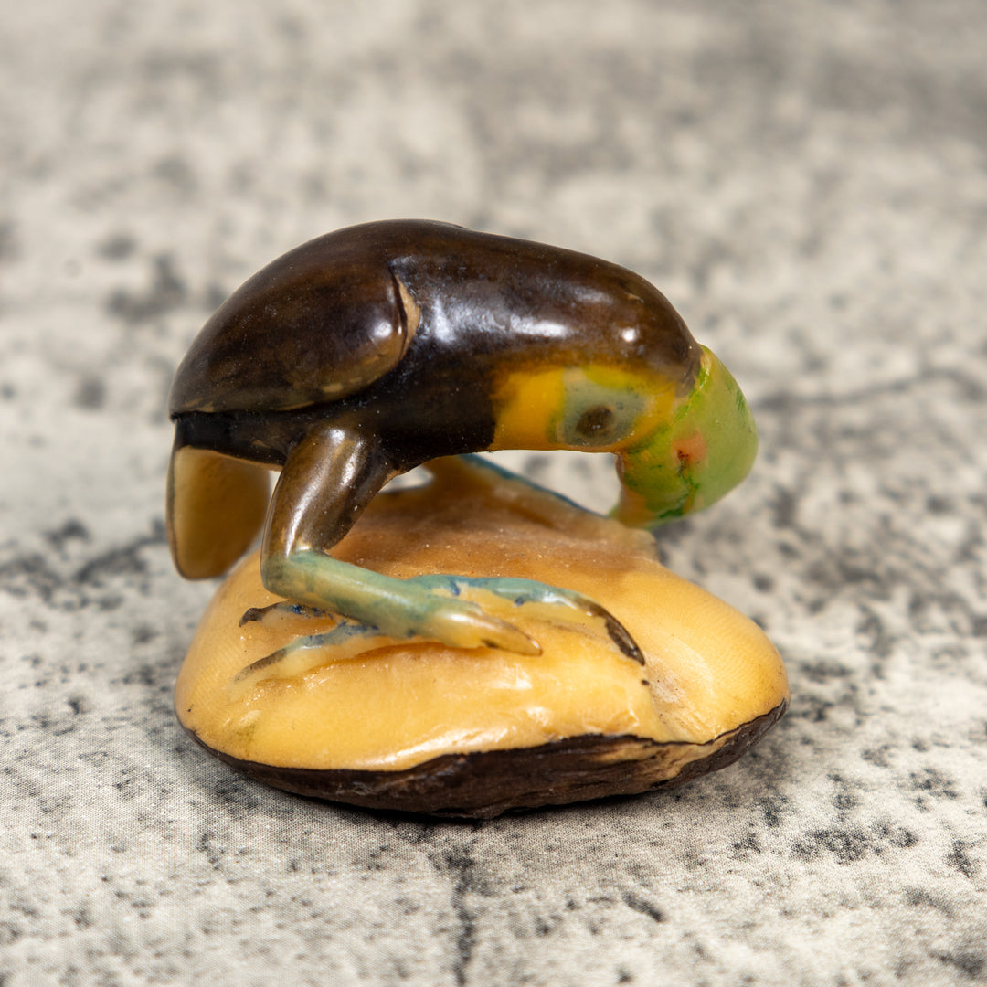 Vintage Toucan Parrot Bird Tagua Carving