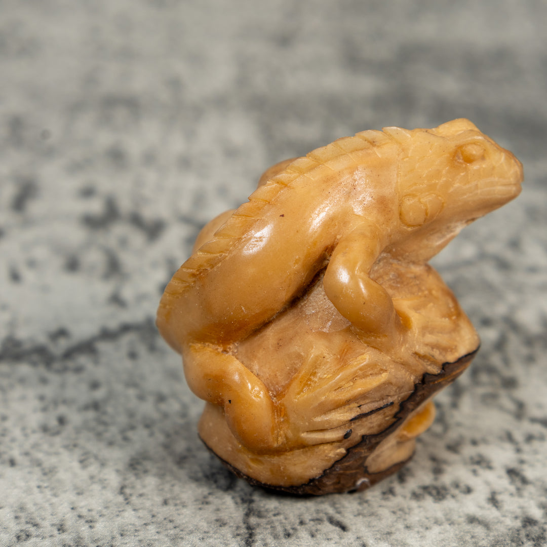 Vintage Dyed Iguana Lizard Tagua Carving