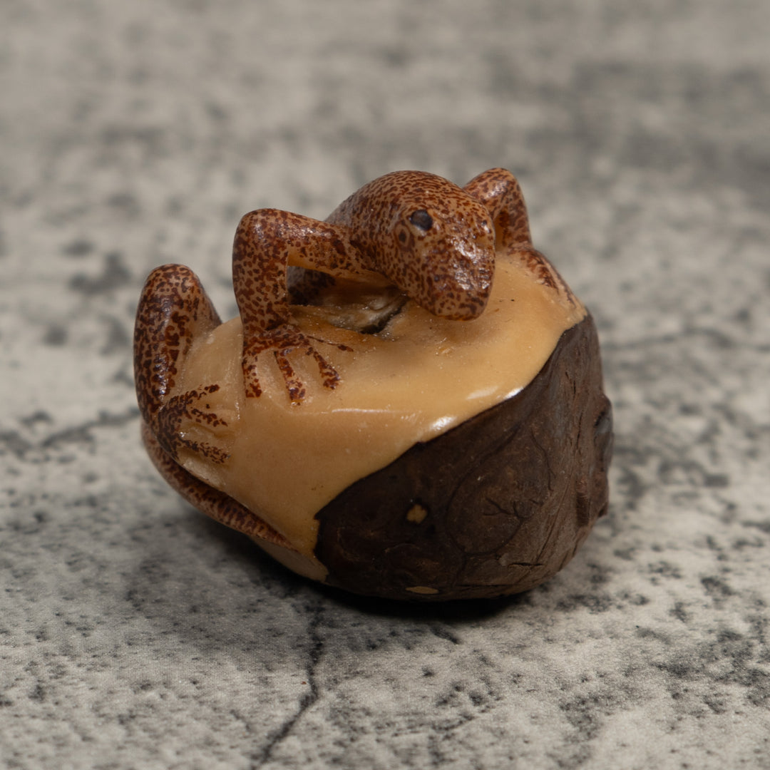 Brown Gecko Lizard Tagua Carving