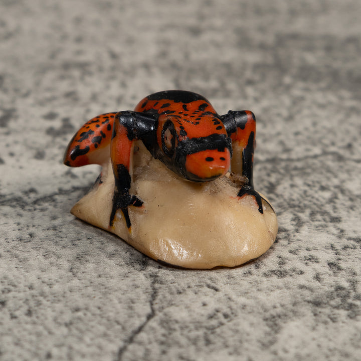 Vintage Black And Red Poison Dart Frog Tagua Carving