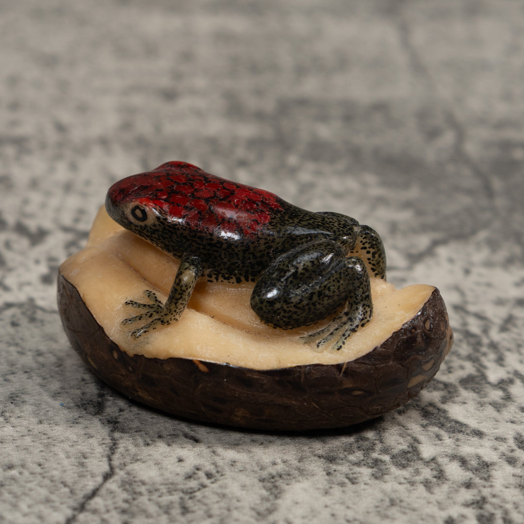 Red and Black Poison Dart Frog Tagua Carving