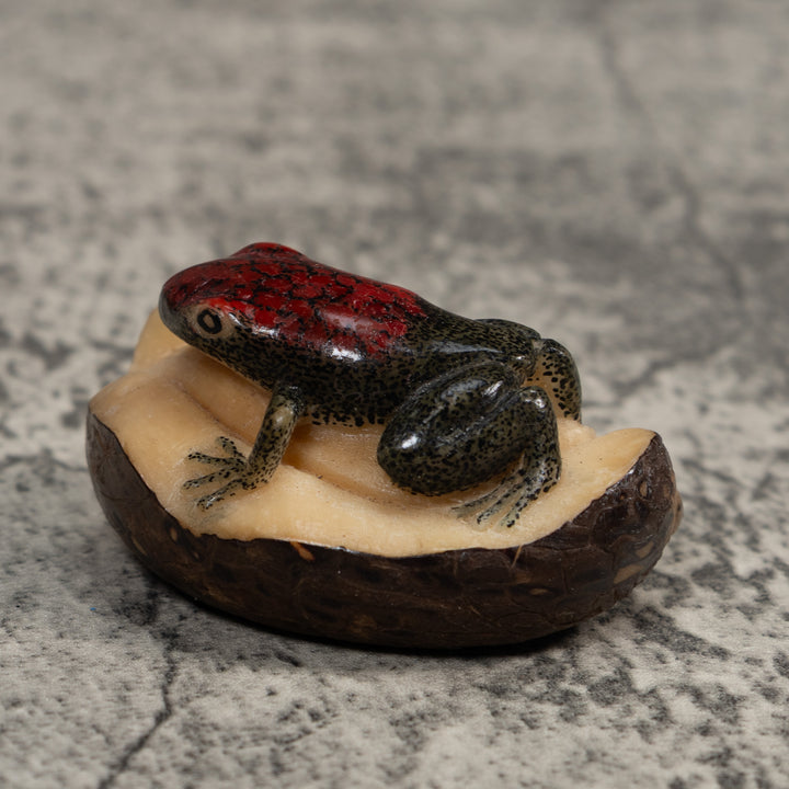 Red and Black Poison Dart Frog Tagua Carving