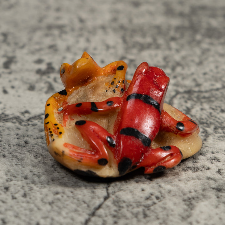 Double Gold And Red Frog Tagua Carving