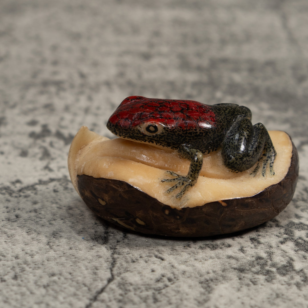 Red and Black Poison Dart Frog Tagua Carving
