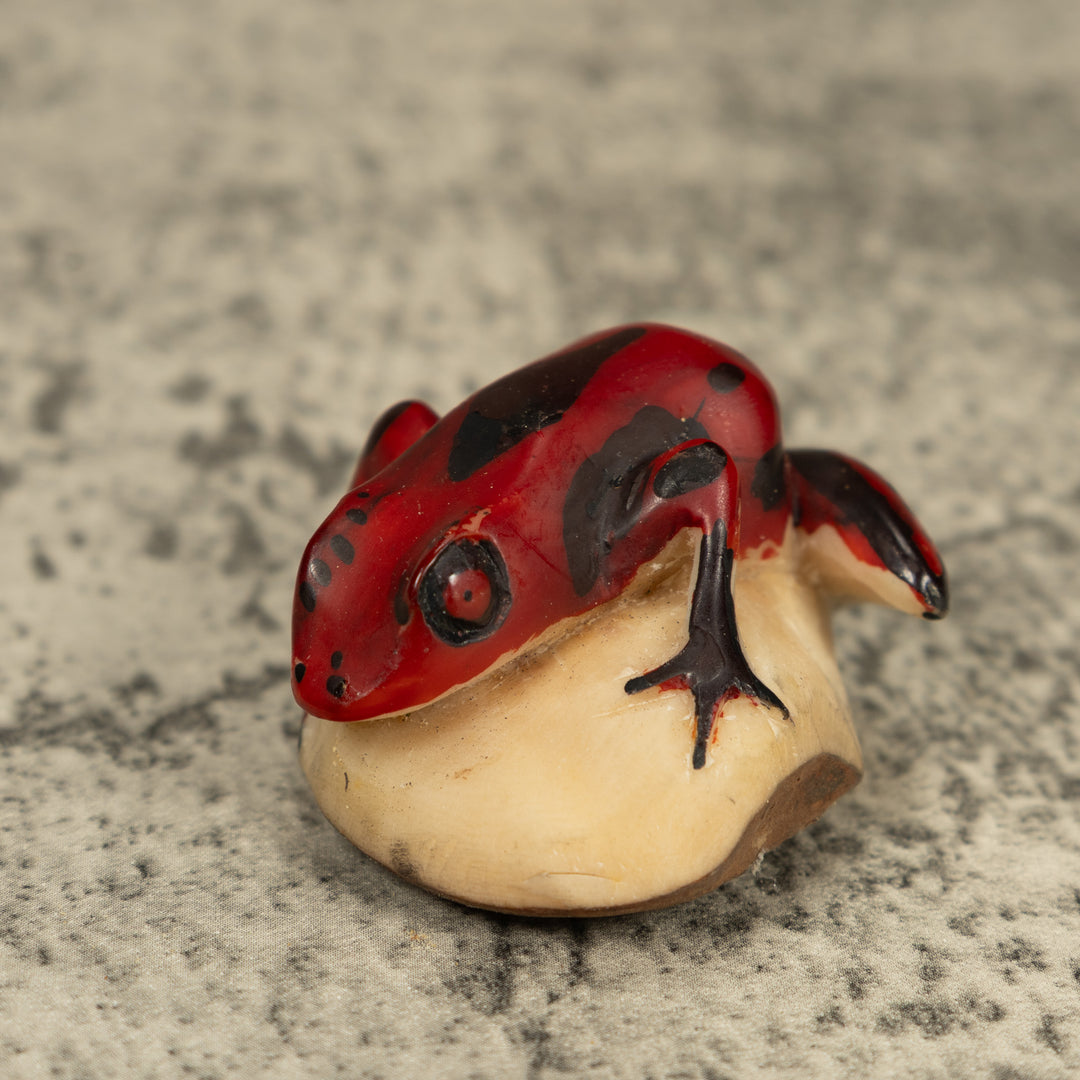 Red And Black Poison Dart Frog Tagua Carving