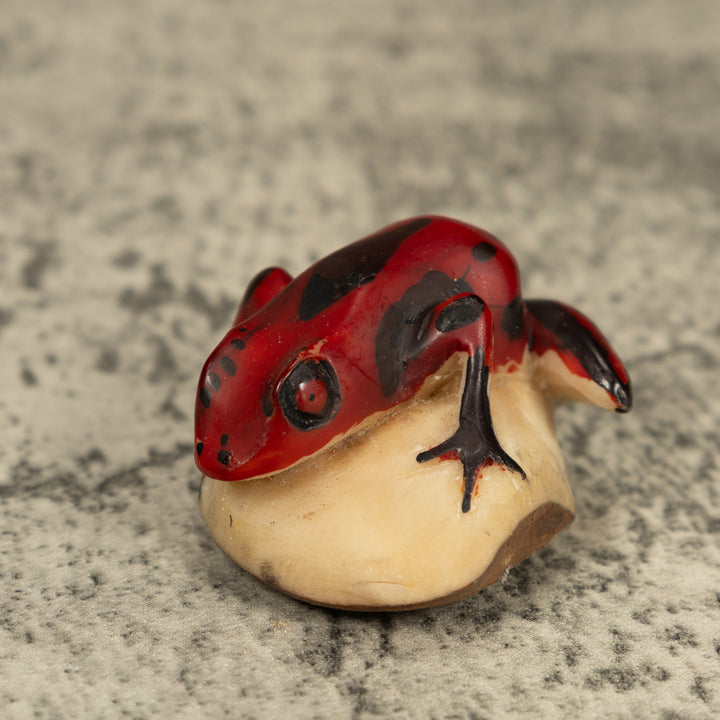 Red And Black Poison Dart Frog Tagua Carving