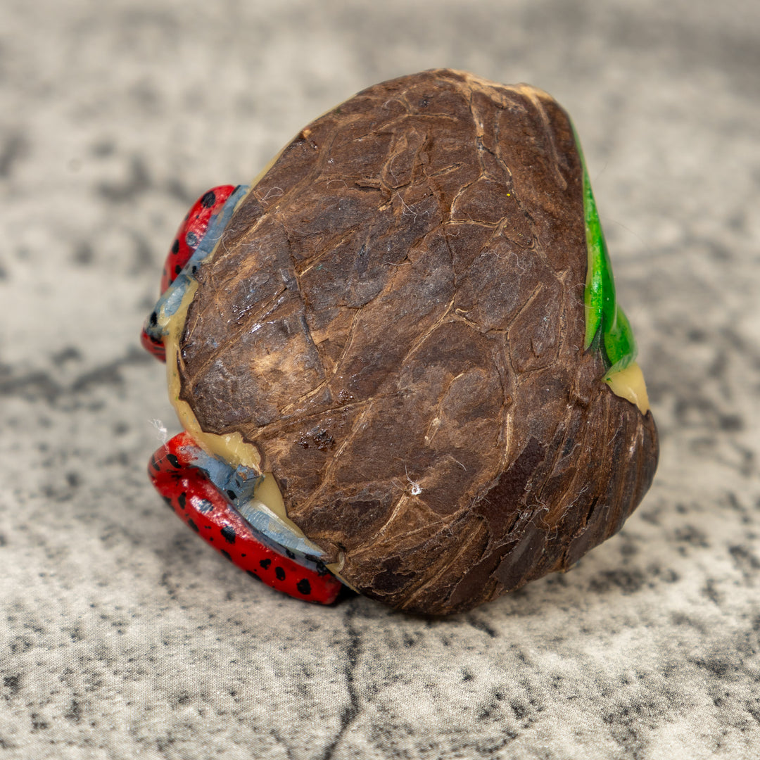 Red Poison Dart Frog Tagua Carving