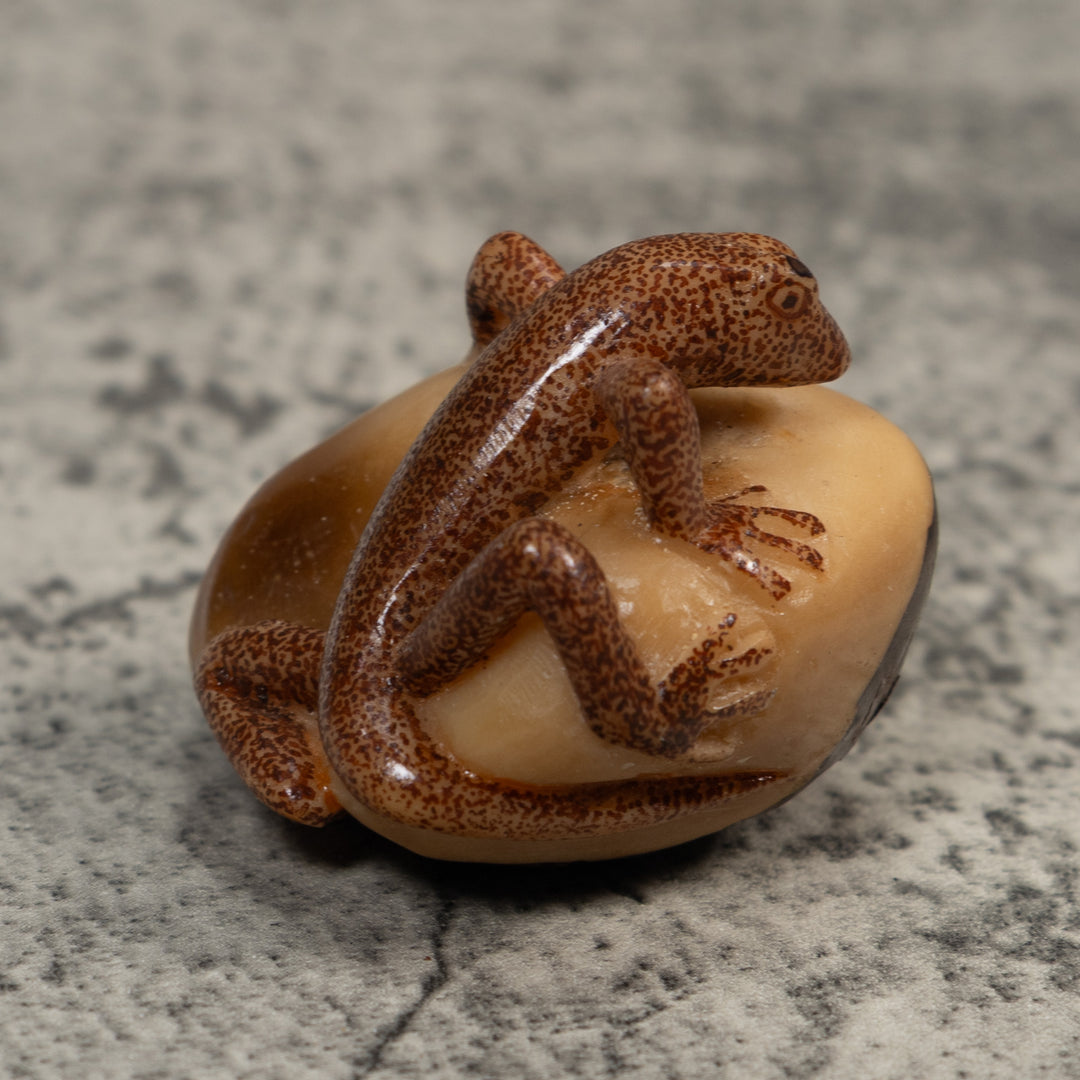 Brown Gecko Lizard Tagua Carving