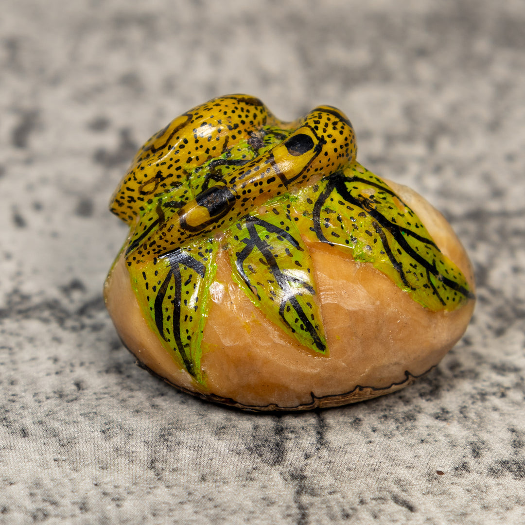 Black And Gold Snake Tagua Carving