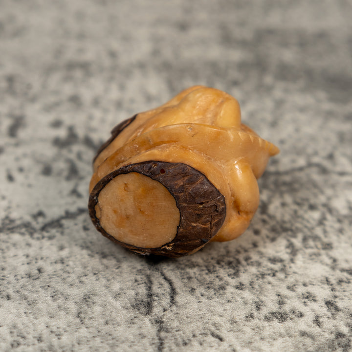 Vintage Dyed Iguana Lizard Tagua Carving