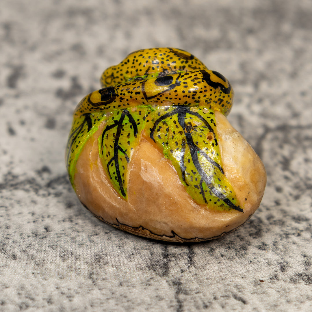 Black And Gold Snake Tagua Carving