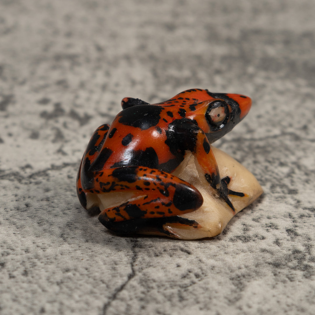 Vintage Black And Red Poison Dart Frog Tagua Carving