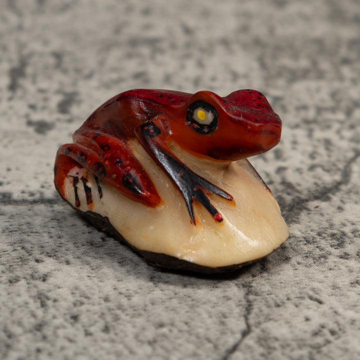 Vintage Red And Black Poison Dart Frog Tagua Carving