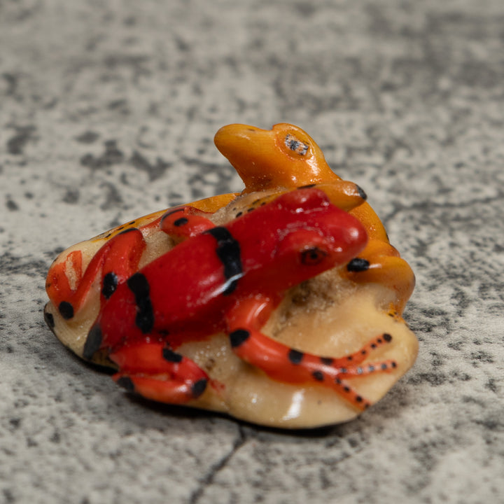 Double Gold And Red Frog Tagua Carving