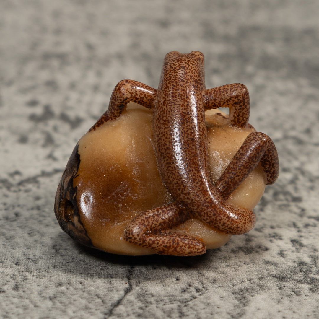 Brown Gecko Lizard Tagua Carving