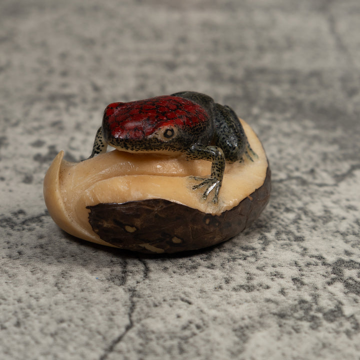 Red and Black Poison Dart Frog Tagua Carving