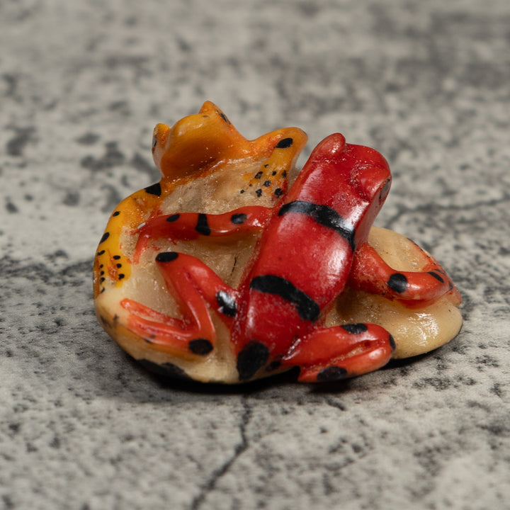 Double Gold And Red Frog Tagua Carving