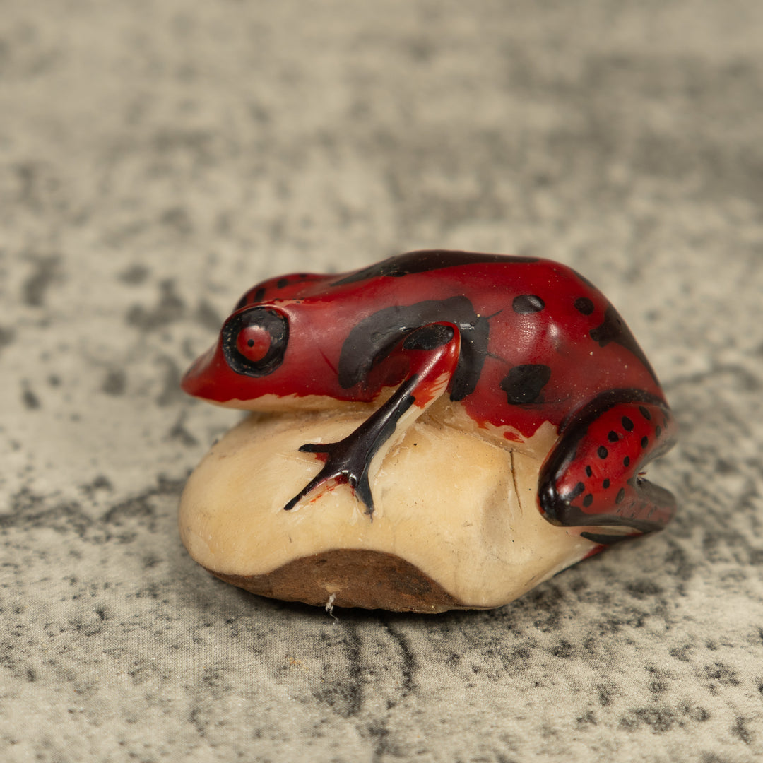 Red And Black Poison Dart Frog Tagua Carving