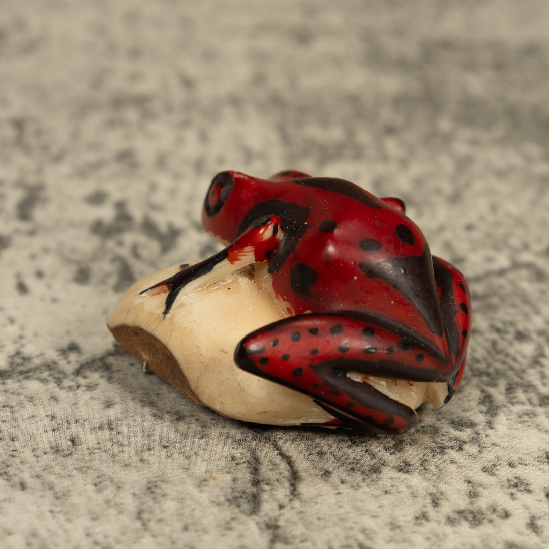 Red And Black Poison Dart Frog Tagua Carving
