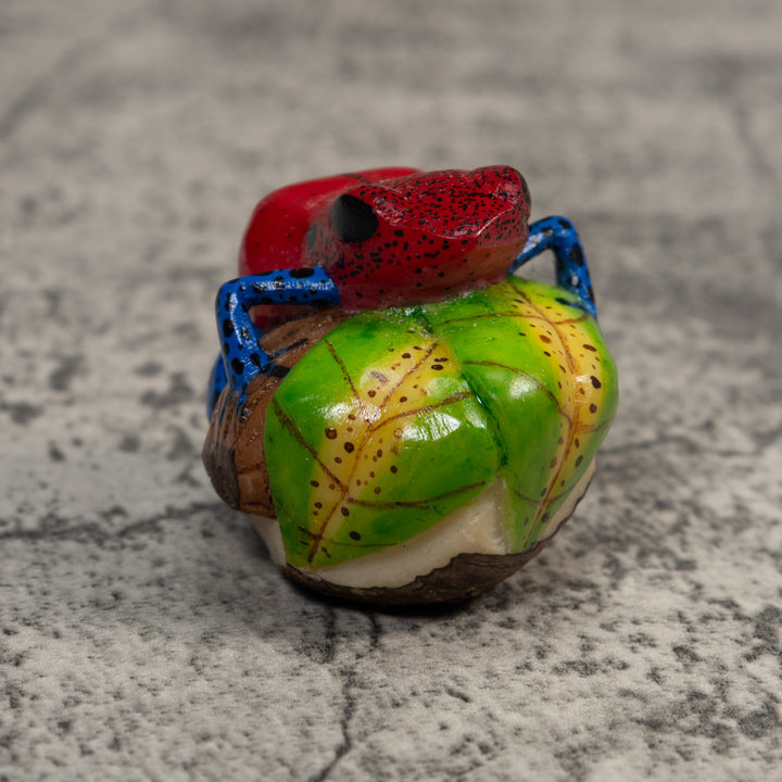 Red And Blue Poison Dart Frog Tagua Carving