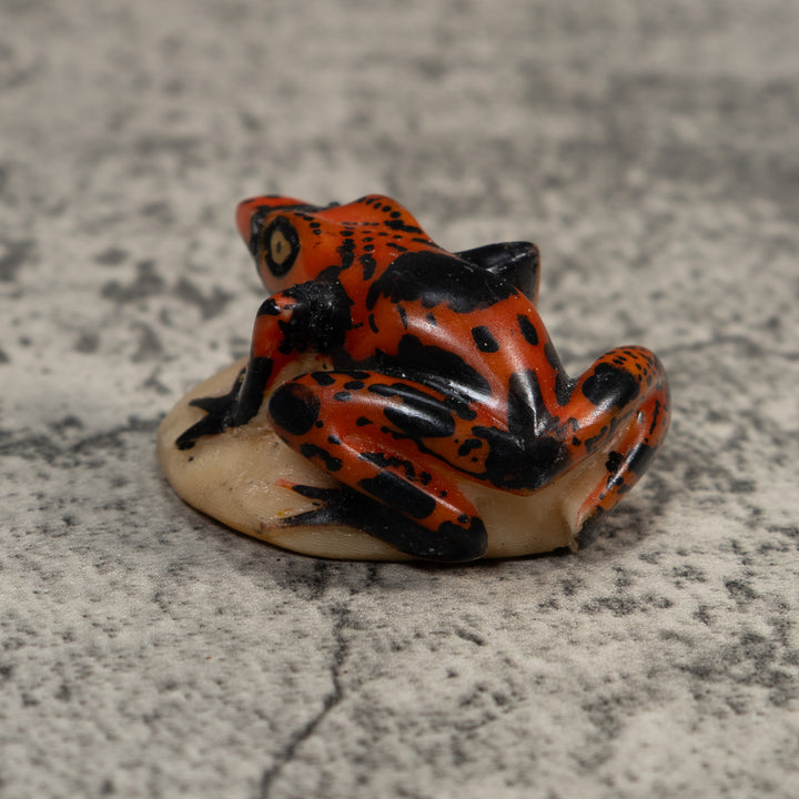 Vintage Black And Red Poison Dart Frog Tagua Carving