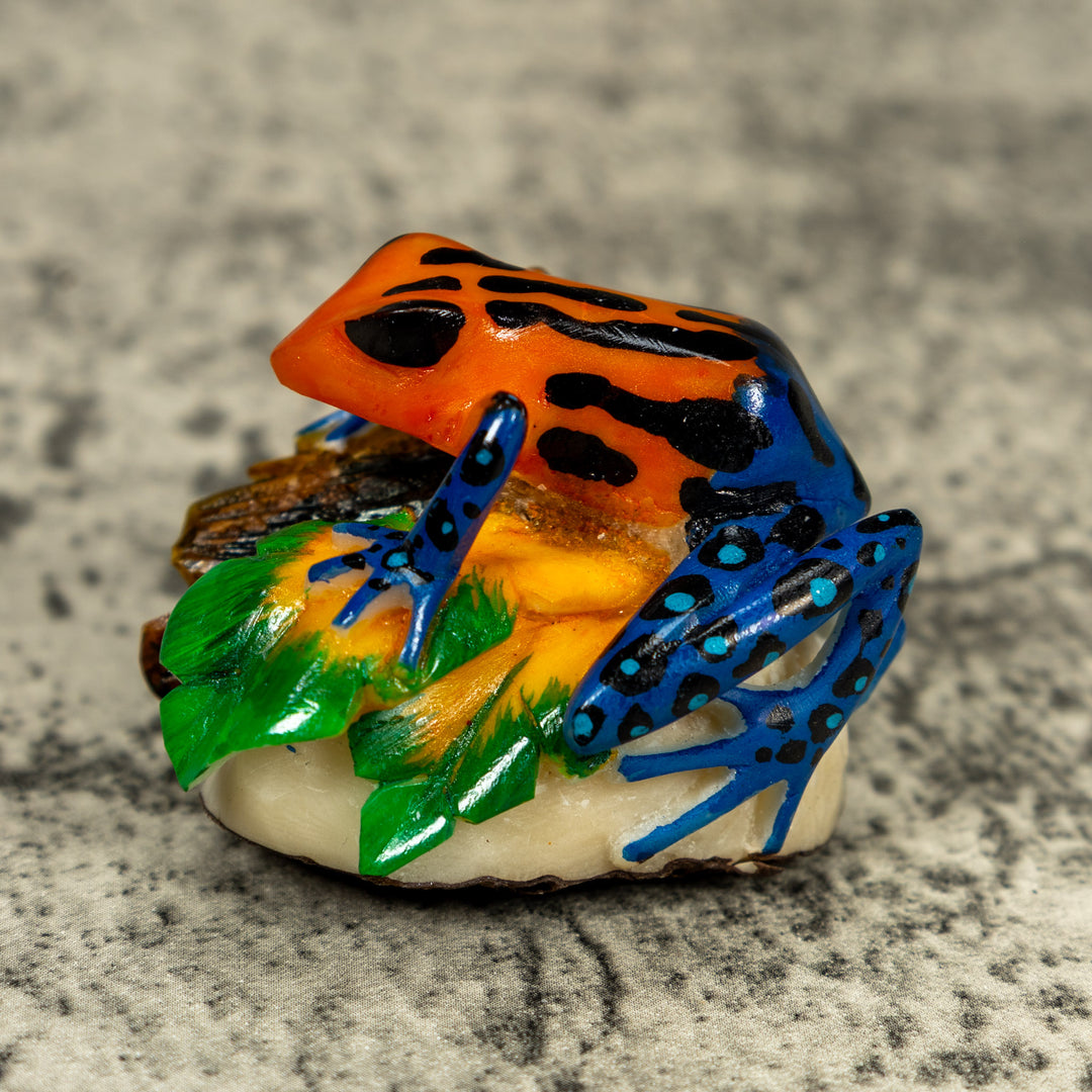 Blue Orange And Black Poison Dart Frog Tagua Carving
