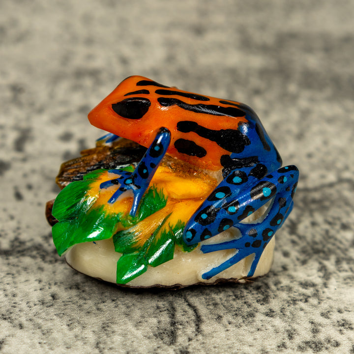Blue Orange And Black Poison Dart Frog Tagua Carving