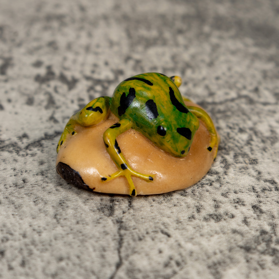 Vintage Green Gold And Black Frog Tagua Carving