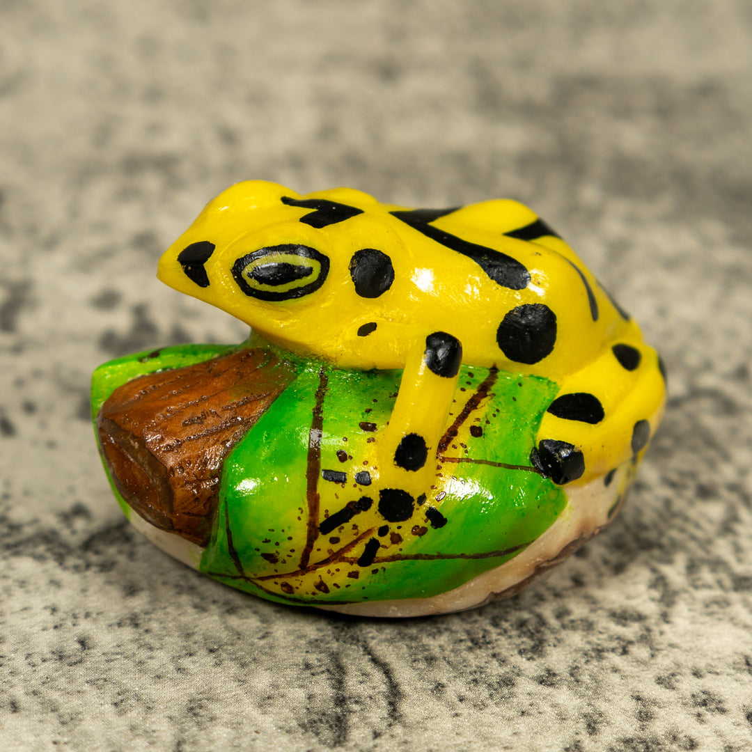 Yellow And Black Golden Frog Tagua Carving