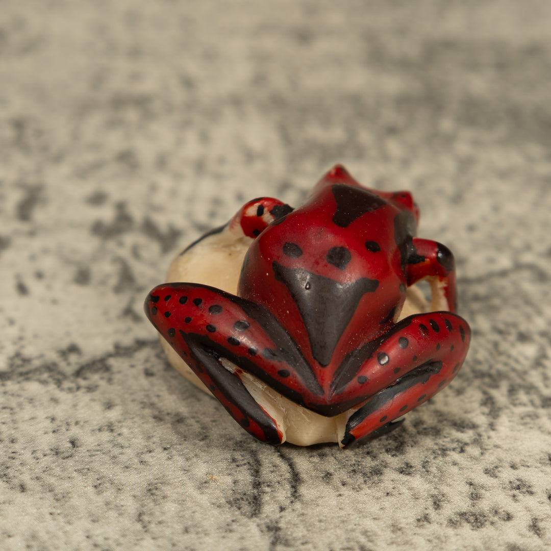 Red And Black Poison Dart Frog Tagua Carving