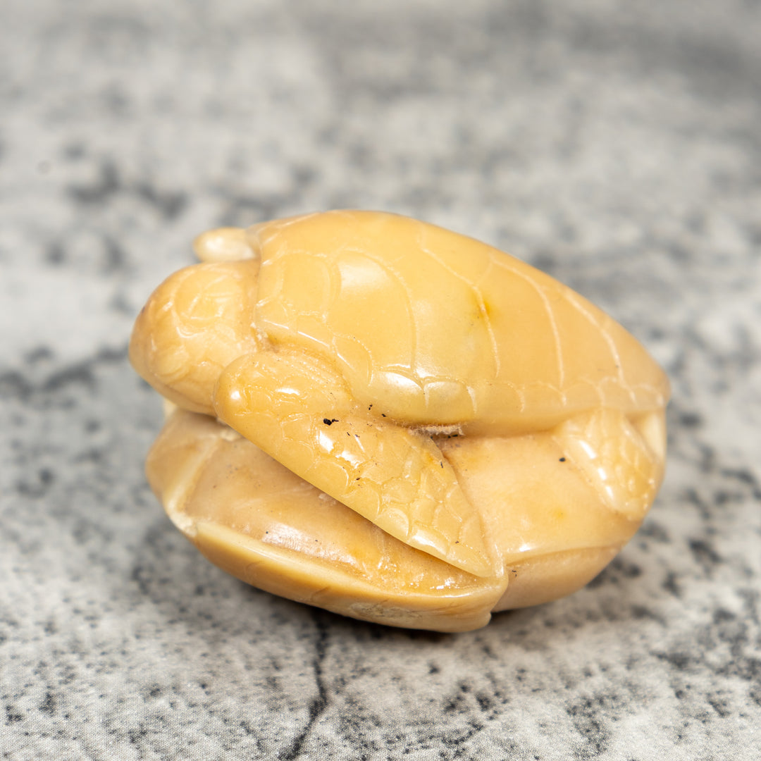 Natural White Sea Turtle Tagua Carving
