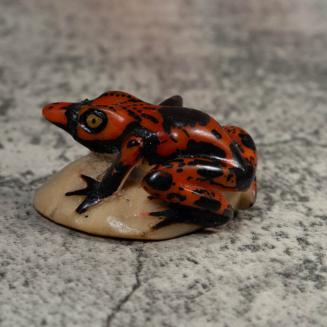 Vintage Black And Red Poison Dart Frog Tagua Carving