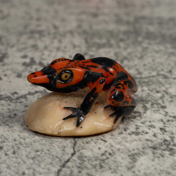 Vintage Black And Red Poison Dart Frog Tagua Carving