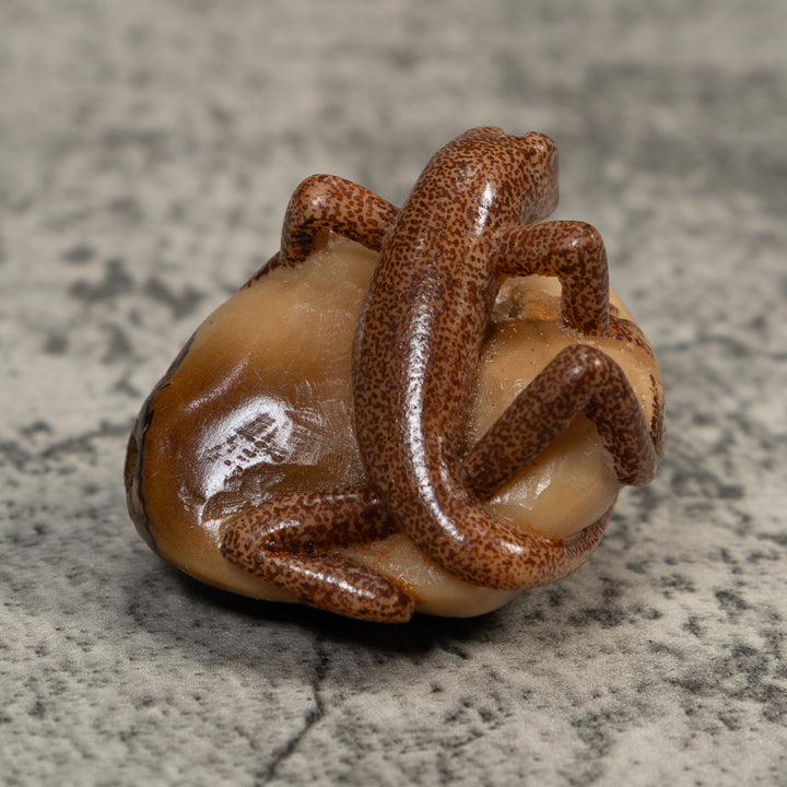 Brown Gecko Lizard Tagua Carving