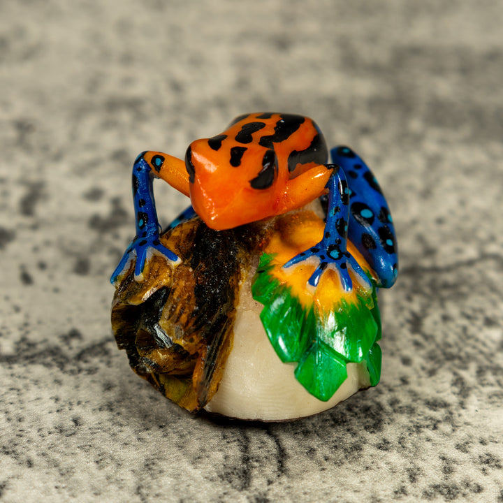 Blue Orange And Black Poison Dart Frog Tagua Carving