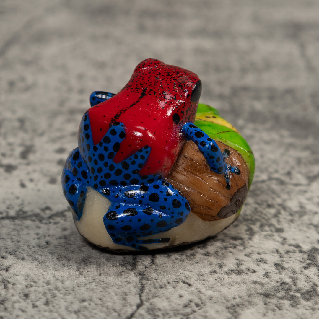 Red And Blue Poison Dart Frog Tagua Carving