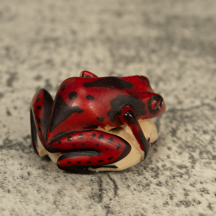 Red And Black Poison Dart Frog Tagua Carving