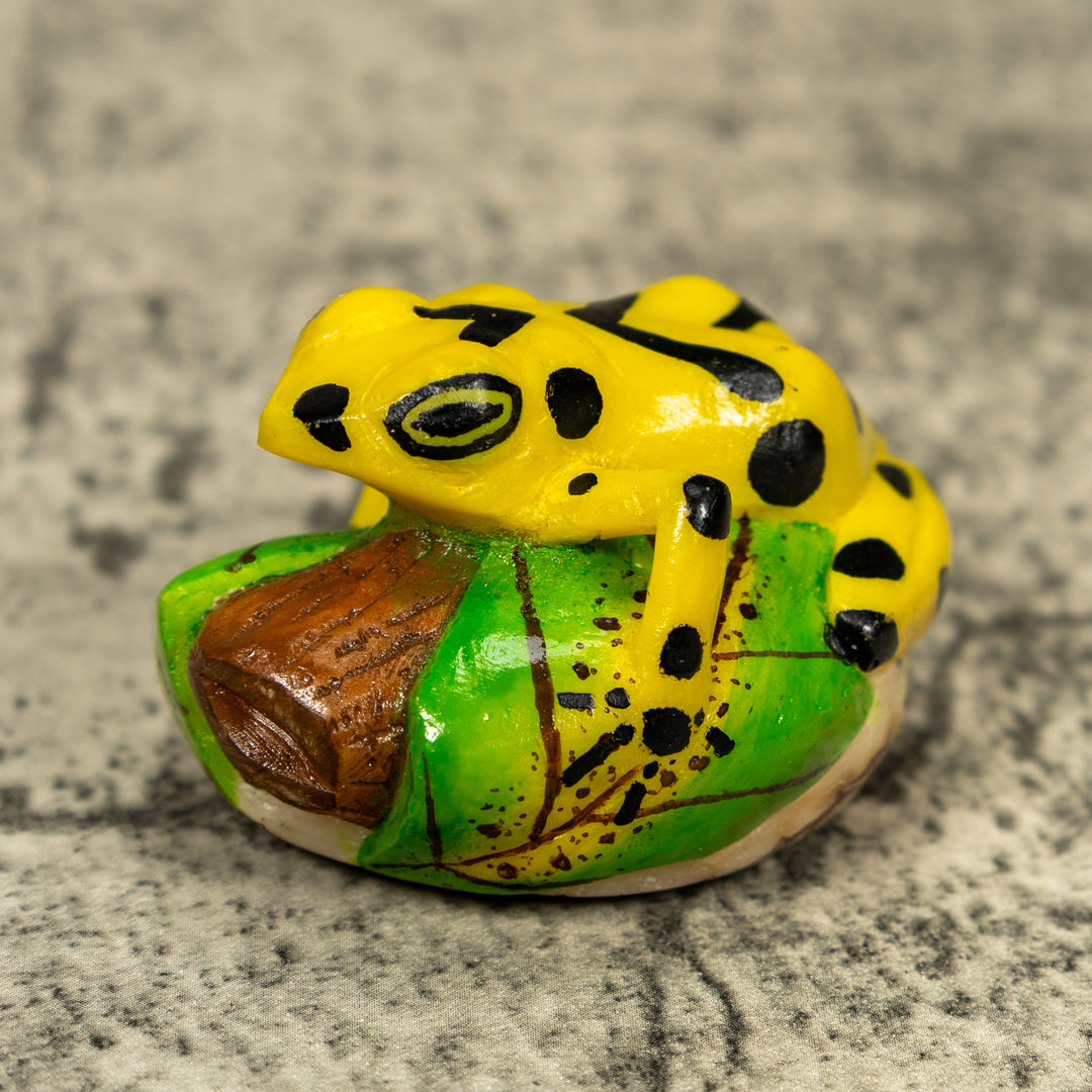 Yellow And Black Golden Frog Tagua Carving