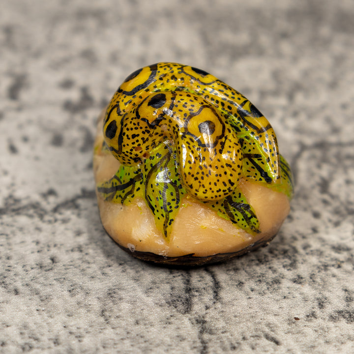 Black And Gold Snake Tagua Carving