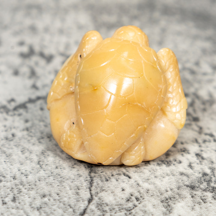 Natural White Sea Turtle Tagua Carving
