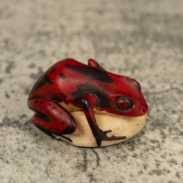 Red And Black Poison Dart Frog Tagua Carving