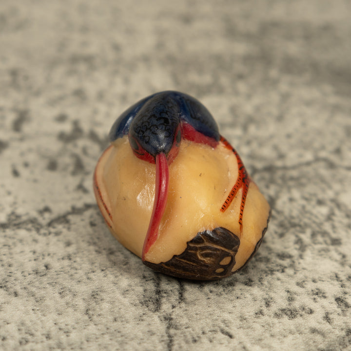 Vintage Blue And Orange Rainforest Bird Tagua Carving