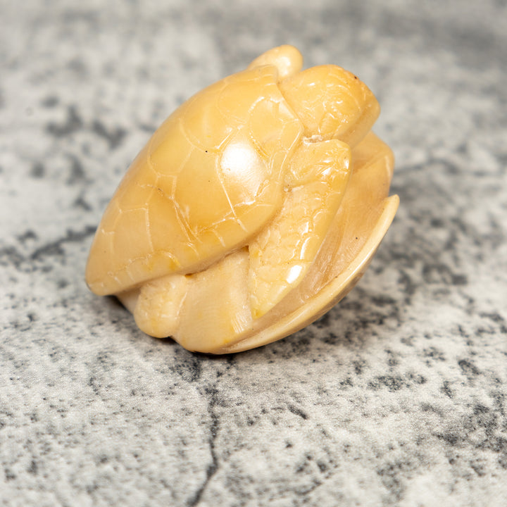 Natural White Sea Turtle Tagua Carving