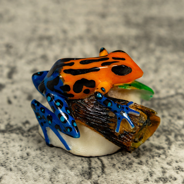 Blue Orange And Black Poison Dart Frog Tagua Carving