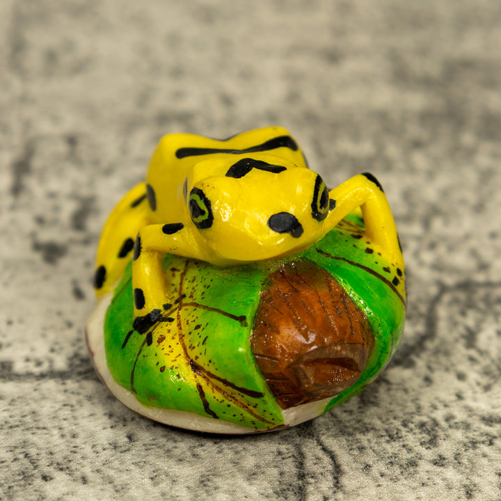 Yellow And Black Golden Frog Tagua Carving